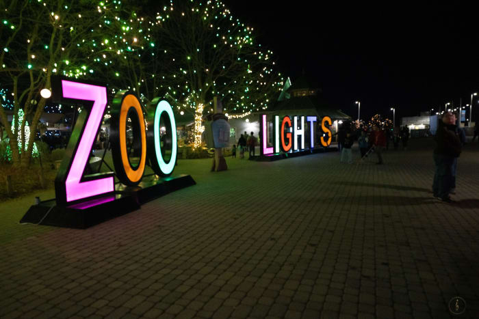 20251224 Dsc00844 89320ce2