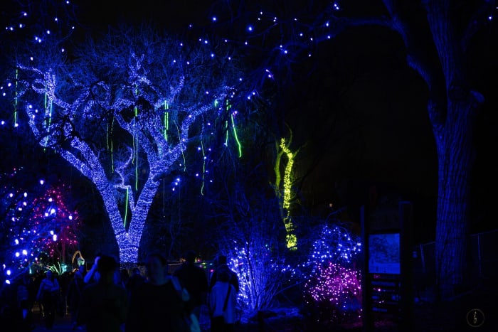 20251224 Dsc03845 Ec39b052