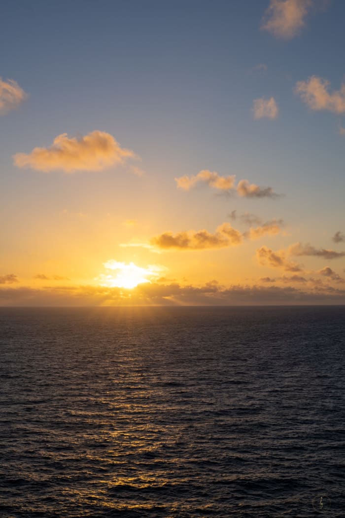 20260411 Dsc02509 6e1c9814