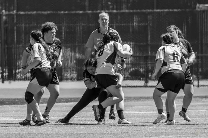 20260328 Dsc00160