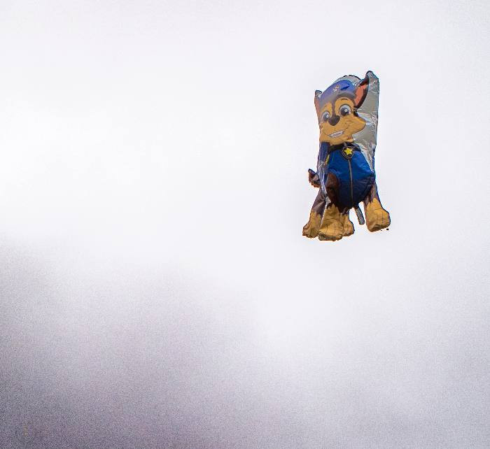 20260425 Dsc04998