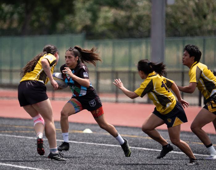 20260502 Dsc08284