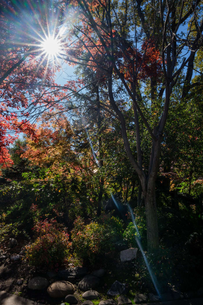Dsc03121 91a1ef15