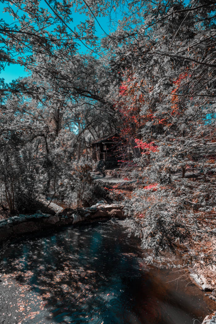 Dsc03124 C8c948c5